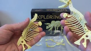 Dinosaurs World T-Rex Skeleton Box Set #2 Unboxing 恐竜 ティラノサウルス