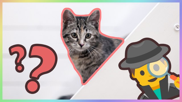 4 photos de CHATS qui adorent se cacher ! Arriverez-vous à les TROUVER