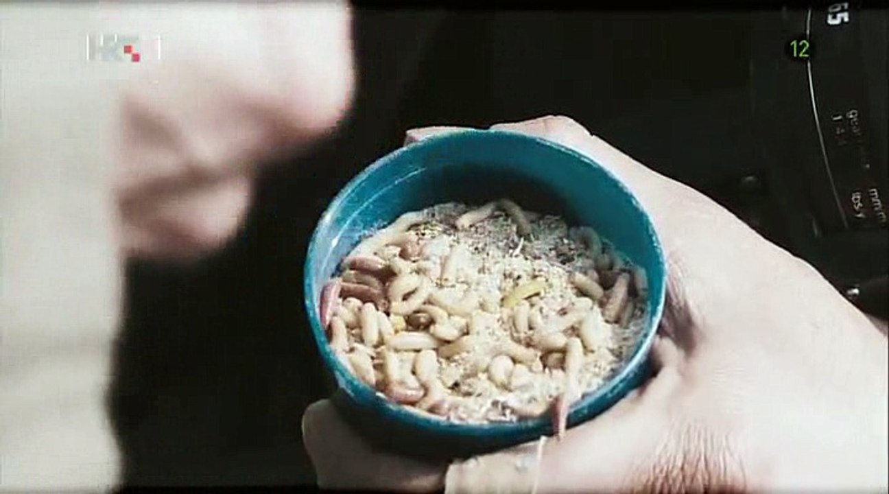 Korak.Po.Korak cd1