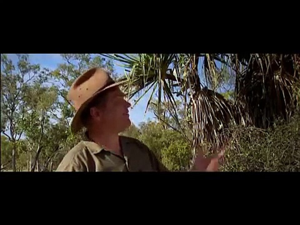 Ray Mears Goes Walkabout S01 E04 Rock Art 15th June 2008