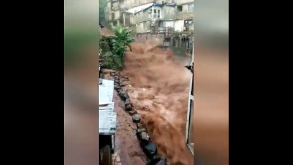 Sierra Leone&#39;de sel ve toprak kaymaları; en az 300 ölü