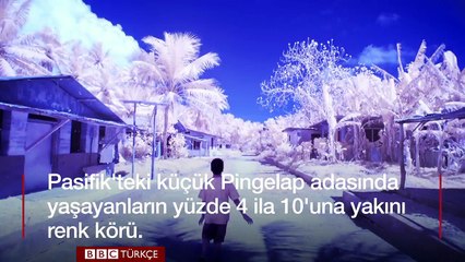 Renk körü adanın &#39;gerçeküstü&#39; renkleri
