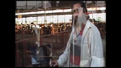 Müzik dinletti, süt üretimini arttırdı