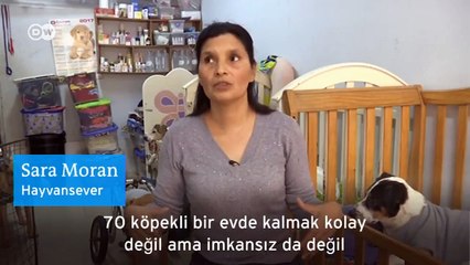 Hayatını yaralı köpeklere adadı