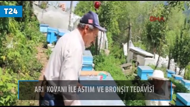 Arı kovanıyla astım ve bronşit tedavisi