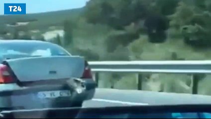 Bagajda koyun taşıyan sürücüye sosyal medyadan tepki yağdı