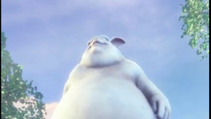 Test Analytics Overview 📊