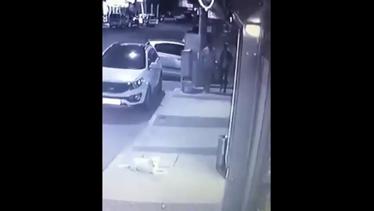 Mia köpeğe tekme atan 'insan' gözaltına...
