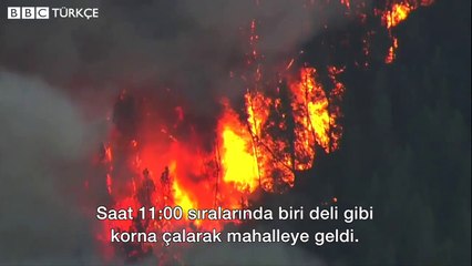 California'nın şarap üretim bölgesinde yangınlar: 10 ölü