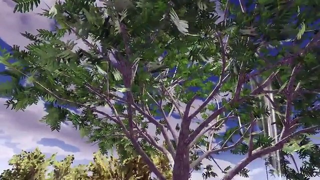 Sanal gerçeklik ortamında evlenme teklifi yaptı