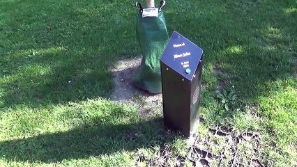 Danimarka'daki müzik parkında ağaçlar şarkı söylüyor...