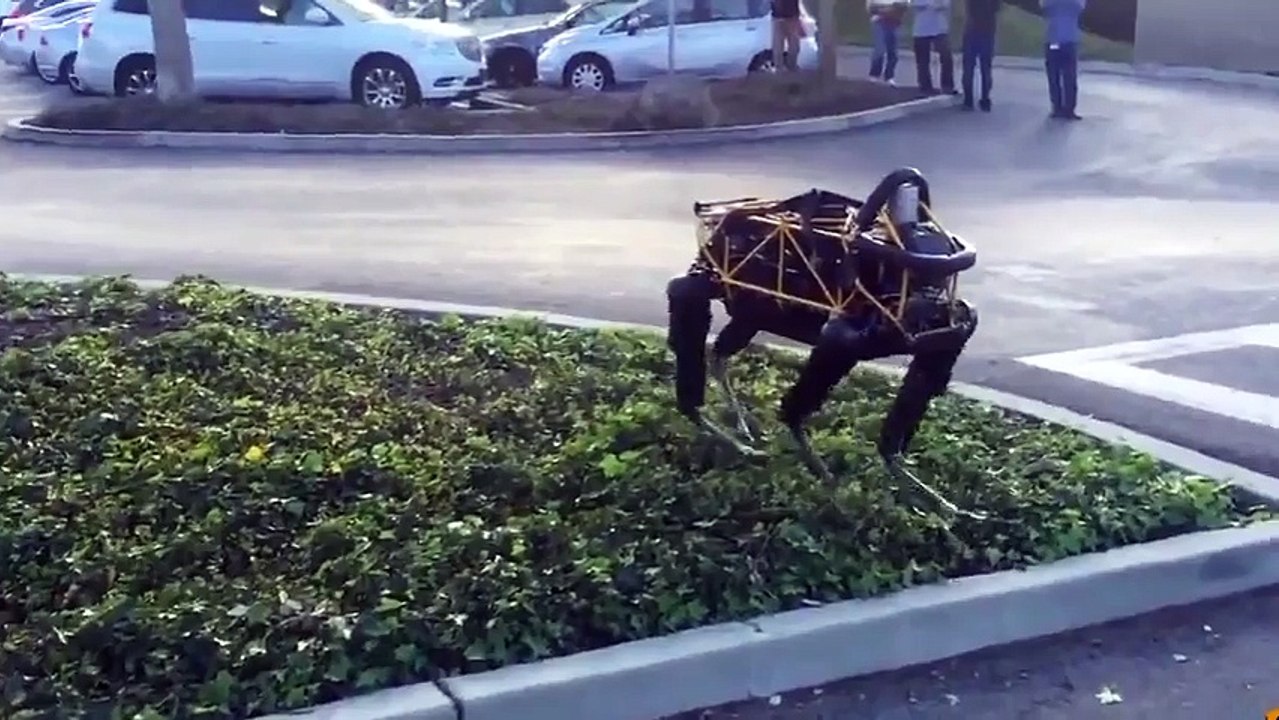 Boston Dynamics robotuyla tanışan köpek