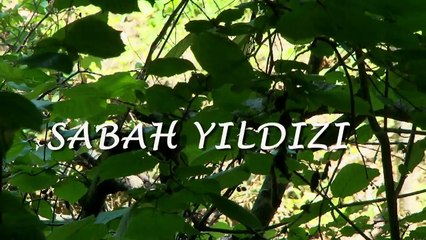 "Sabah Yıldızı: Sabahattin Ali" film fragman