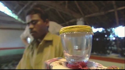 Bir damla yılan zehiri, vücudunuzda hangi değişimlere sebep olur?