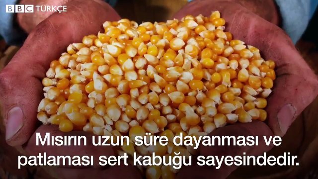 Patlamış mısırın tarihini biliyor musunuz?