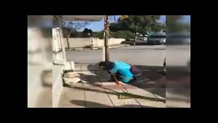 Temizlik görevlisi sokak köpeğine şarkı söyledi...