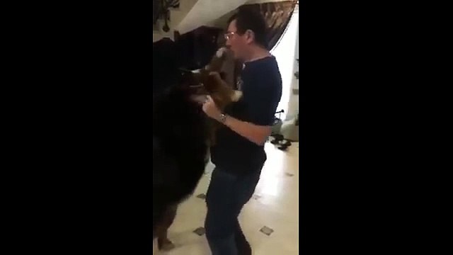 Ukrayna başsavcısı köpeği ile dans etti