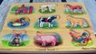Learn Farm Animals and Their Sounds In English Melissa & Doug Sound Puzzle Babies, Toddlers, Kid