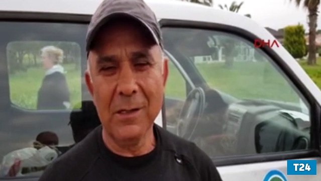 Boğazlarına misina takılan 2 caretta caretta hayatını kaybetti