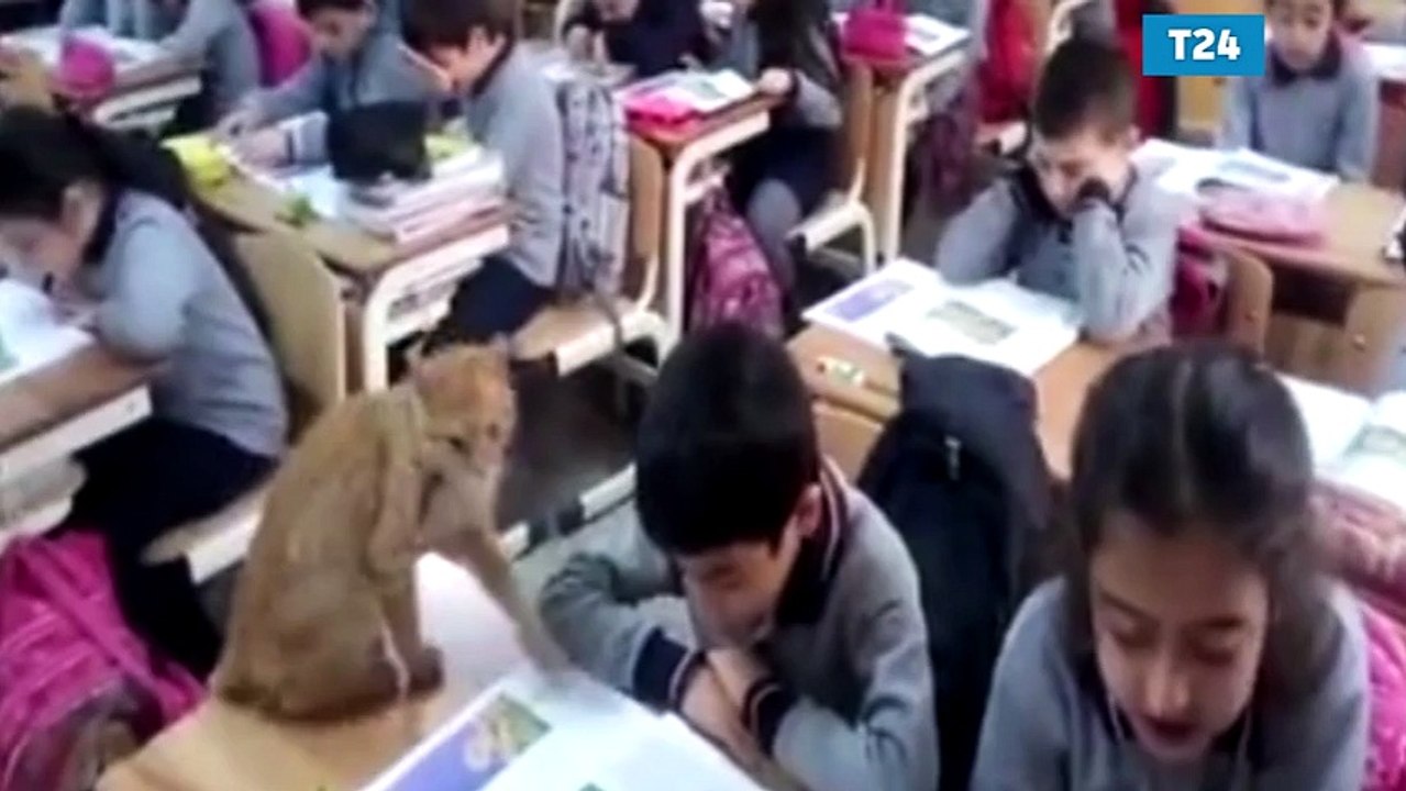 Yalnızca bir veli istemediği için uzaklaştırılmıştı; 'Tombi' sınıfa geri döndü!