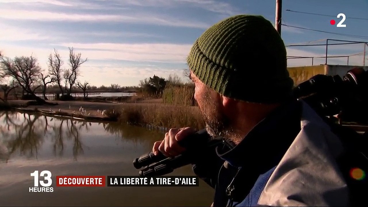 Feuilleton : la liberté à tire-d'aile (1/5)