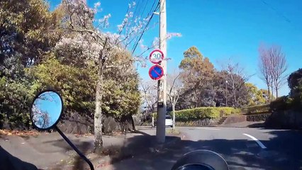 EDR April 2017 #8 Strange 6677car part 2