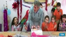 7 yaşına giren Paşa için doğum günü partisi düzenledi