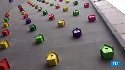 İstanbul&#39;un orta yerinde 120 "Tek Göz Oda" giden kuşları çağırıyor: Siz dönünce şenlenecek bu yuvalar...