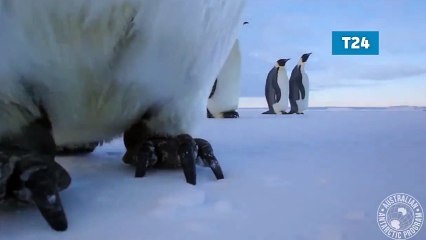 İki 'imparator' selfie çekti, sosyal medya onları konuştu