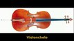 Instrumentos Musicales Orquesta - Guía Didáctica Fácil