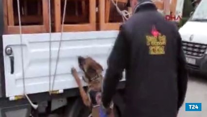 Adli memur, uyuşturucu kaçakçılığı yaparken yakalandı