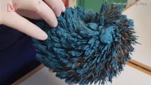 Real-Life Sonic the Hedgehog Rescued After Being Painted Blue