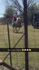 Horse Ride Did Not Go as Planned
