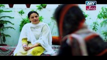 Mein Mehru Hoon Ep 100 & 101 - on ARY Zindagi in High Quality 16th April 2018