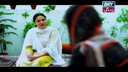 Mein Mehru Hoon Ep 100 & 101 - on ARY Zindagi in High Quality 16th April 2018