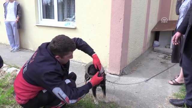 Kafası Bidona Sıkışan Köpeğe İtfaiye Yardım Etti