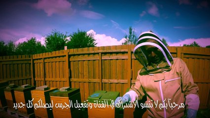 عالم النحل ,اهمية زراعة الشجر داخل المنحل