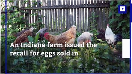 Nearly 207 Million Eggs Recalled Over Salmonella Concerns