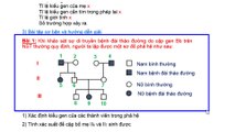 Bài tập BD HSG Sinh 9 và Ôn thi THPT Chuyên Sinh  - Bài tập Di truyền người - Bài 1