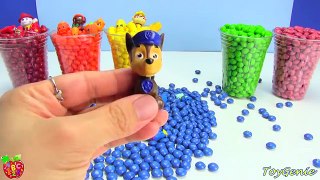 Shopkins and Paw Patrol in Skittles Candy