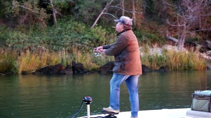 Z-Man Project Z ProFileZ: Eye Strike Fishing