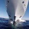 Les images magnifique d'un dauphin faisant la course avec un navire