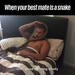 Quand ton meilleur ami est un serpent