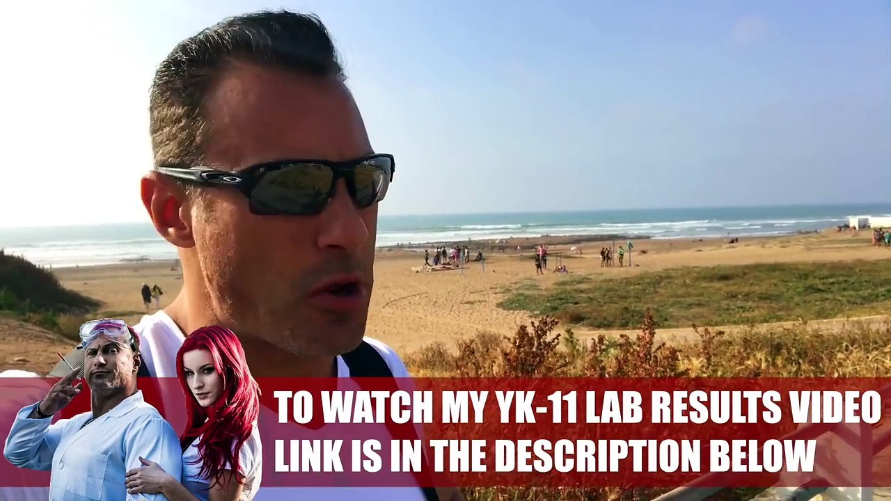 YK 11 Liver Toxicity Lab Results