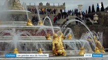 Culture : dans les coulisses des grandes eaux de Versailles
