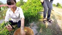 Khmer Girl Fishing At Siem Reap Cambodia -Cambodia Traditional Fishing
