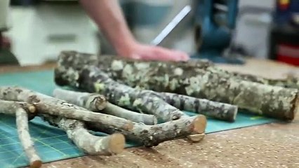 Make your own Slingshot - Natural Slingshot Fork Selection