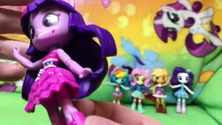 New My Little Pony Equestria Girls Minis Flash Rarity Applejack Fluttershy Twilight Rainbow Dash