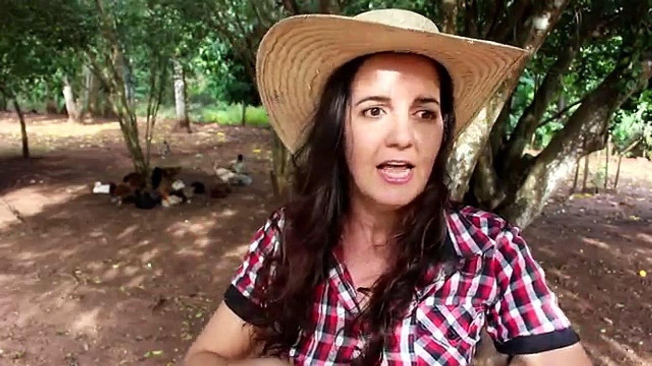 Galinha doente cheia de GOGO? Como acabar com gogo e outras doenças de galinhas - Fran Adorno