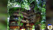 10 Amazing Treehouses You Can Actually Stay In